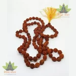 5 Mukhi/Face Rudraksha Mala -Nepal (रुद्राक्ष की माला)