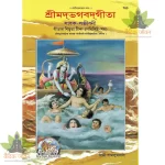 Shrimadbhagvadgita, Sadhak Sanjeevani, Bangla (শ্রীমদ্ভগবদ্গীতা, সাধক সঞ্জীবনী ) 763