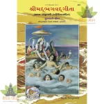 Shrimadbhagvadgita, Sadhak Sanjeevani, Gujarati (શ્રીમદ્ભગવદ્ગીતા, સાધક સંજીવની ) 467