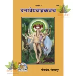 Dattatreya Vajra Kavach (दत्तात्रेय वज्रकवच) 495