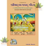 Gita Tattva Vivechani Gujrati (ગીતા તત્ત્વ વિવેચાની ) 1313