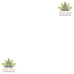 Shrimad Bhagavat Mahapuranam Part-1 (Nepali) 2332